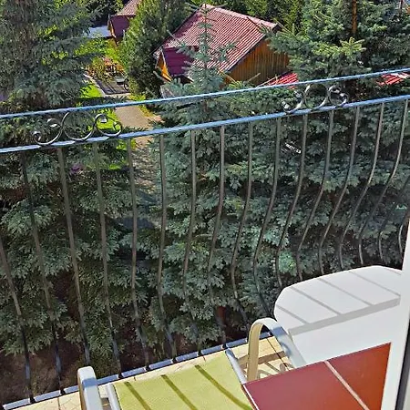 Goscinny Letni Dom Panstwa Grybek Stegna  Exterior photo
