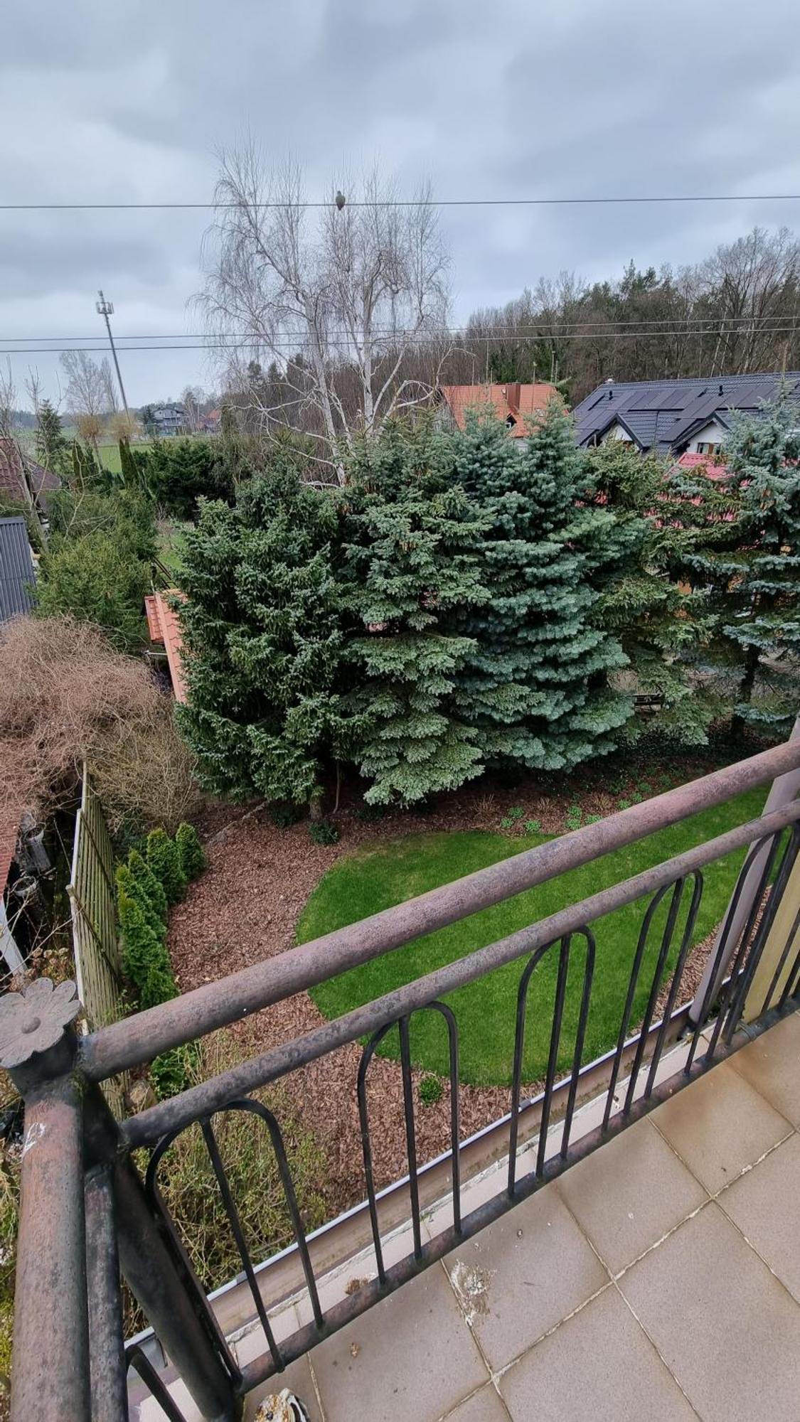 Goscinny Letni Dom Panstwa Grybek Homestay